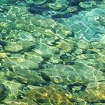 foto-aigua-mallorca quadrat verd 03