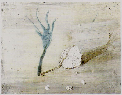 Petit mirage, Miquel Barceló, 1989