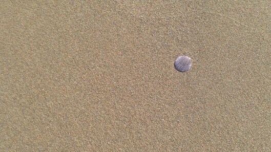 sorra_petxina_st martí d'empúries