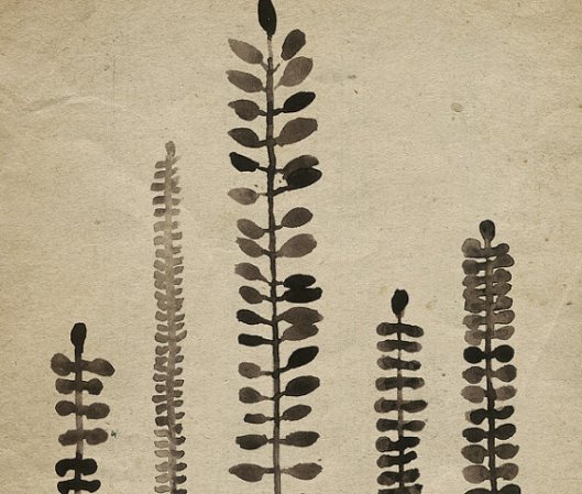 michelle tavares_etsy_rustic ferns 01