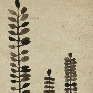 michelle tavares_etsy_rustic ferns_detall 01