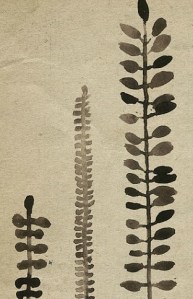 michelle tavares_etsy_rustic ferns 03